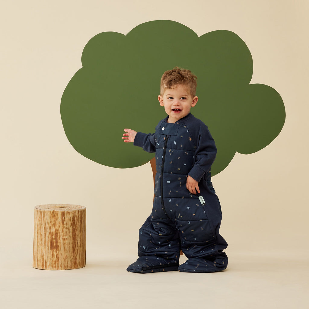 ergoPouch - Organic Winter Long Sleeved 2 in 1 Sleeping Suit Bag - Hedgehog 2.5 TOG