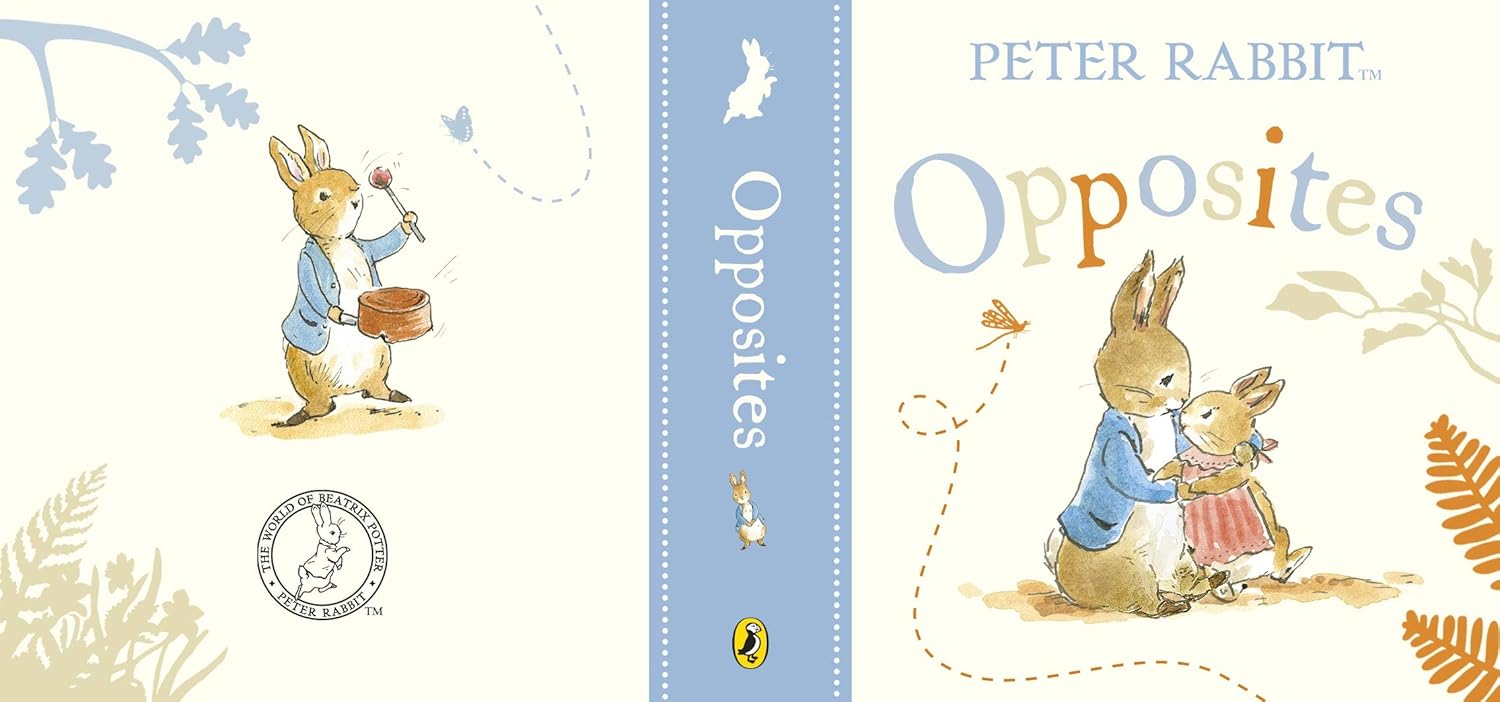 Rainbow Designs Peter Rabbit Tales Little Library