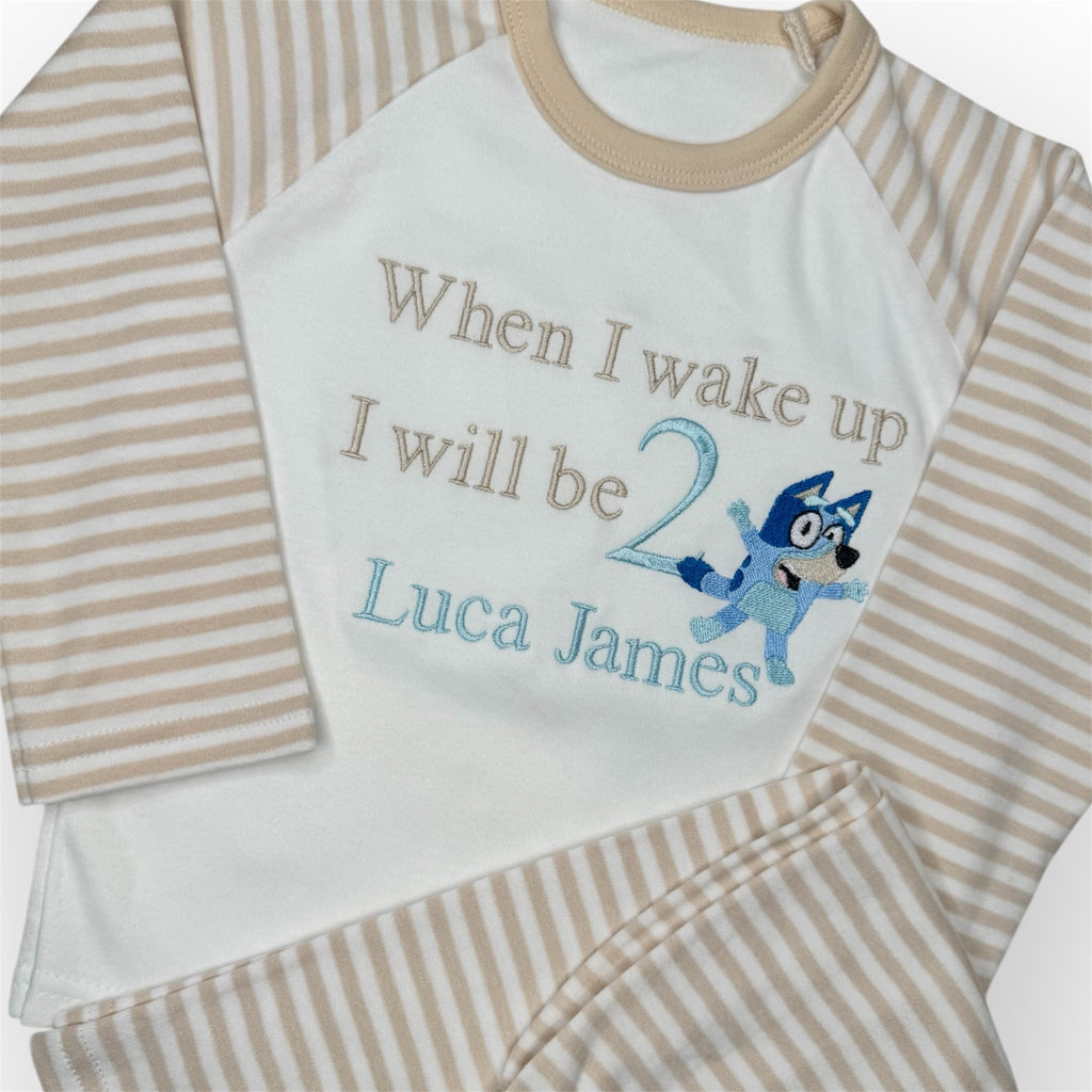 Bluey Birthday Embroidered Nightwear