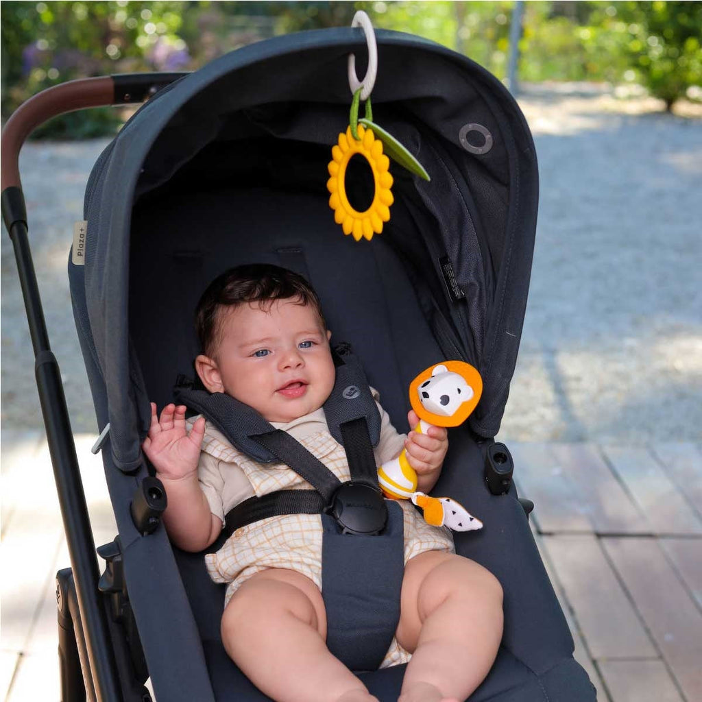 Tiny Love Meadow Days Newborn Gift Set: Inspire Your Baby's Development from Day One