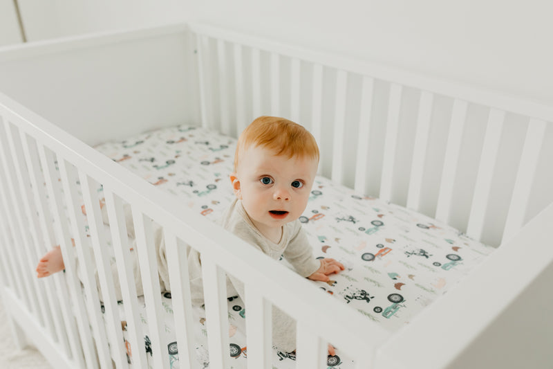 Copper Pearl Premium Elasticised Cot Sheet Jo
