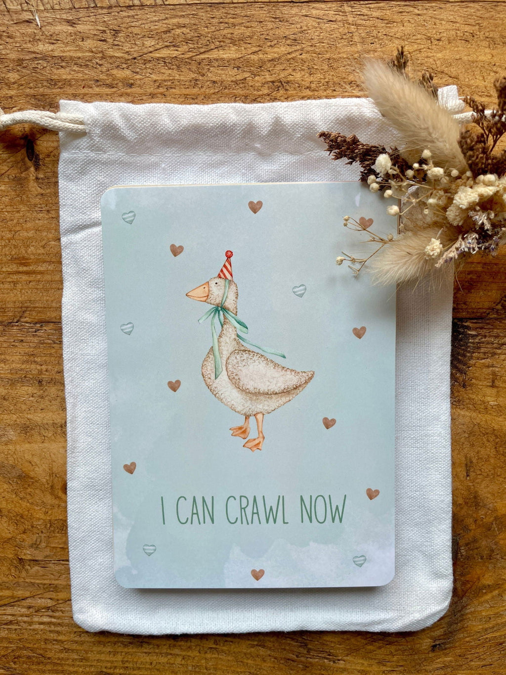Baby Milestone Cards