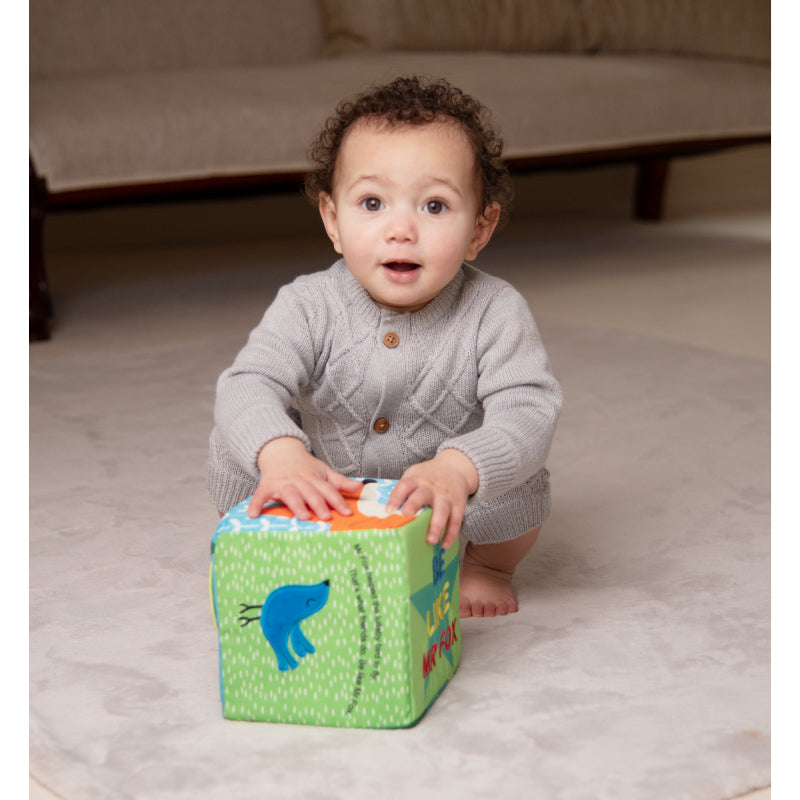 Cosatto - Clever Clogs Cube - Mr Fox
