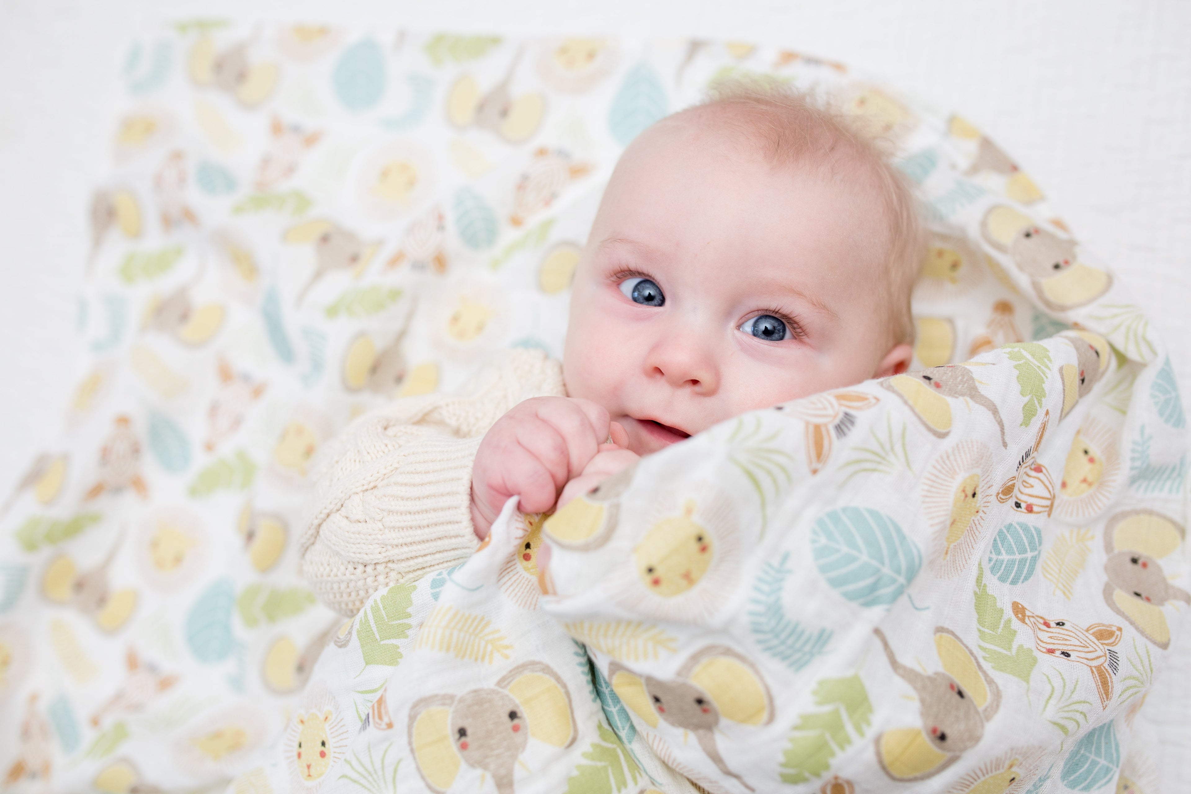 Lulujo - Muslin Swaddle - Jungle Safari (120cm x 120cm)