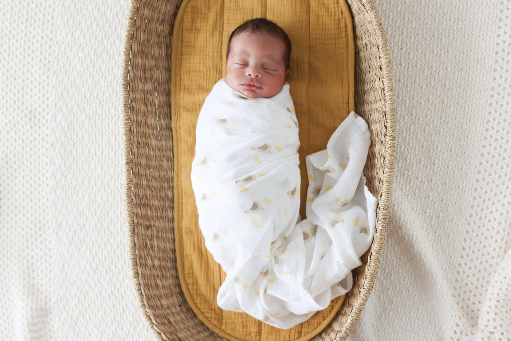 Lulujo - 2 Pack Cotton Swaddles - Barnyard / Hens & Chicks (100cm x100cm)