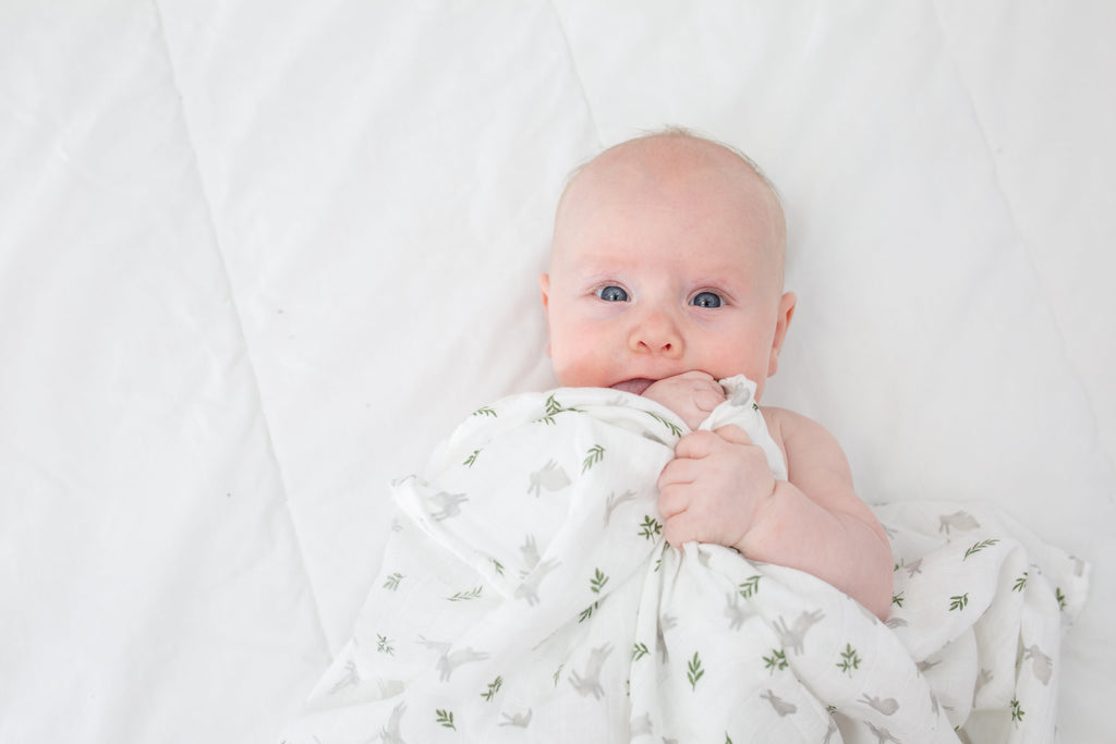 Lulujo - Muslin Swaddle - Bunnies (100cm x 100cm)