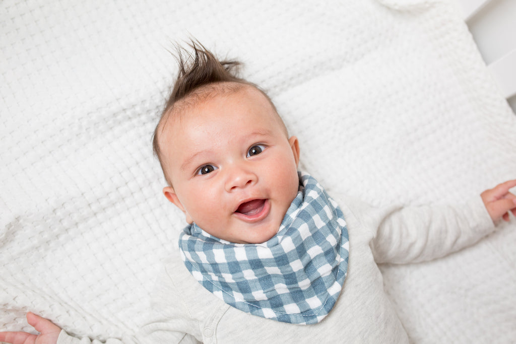 Lulujo - 2 pack Bandana Bib - Fish & Navy Gingham