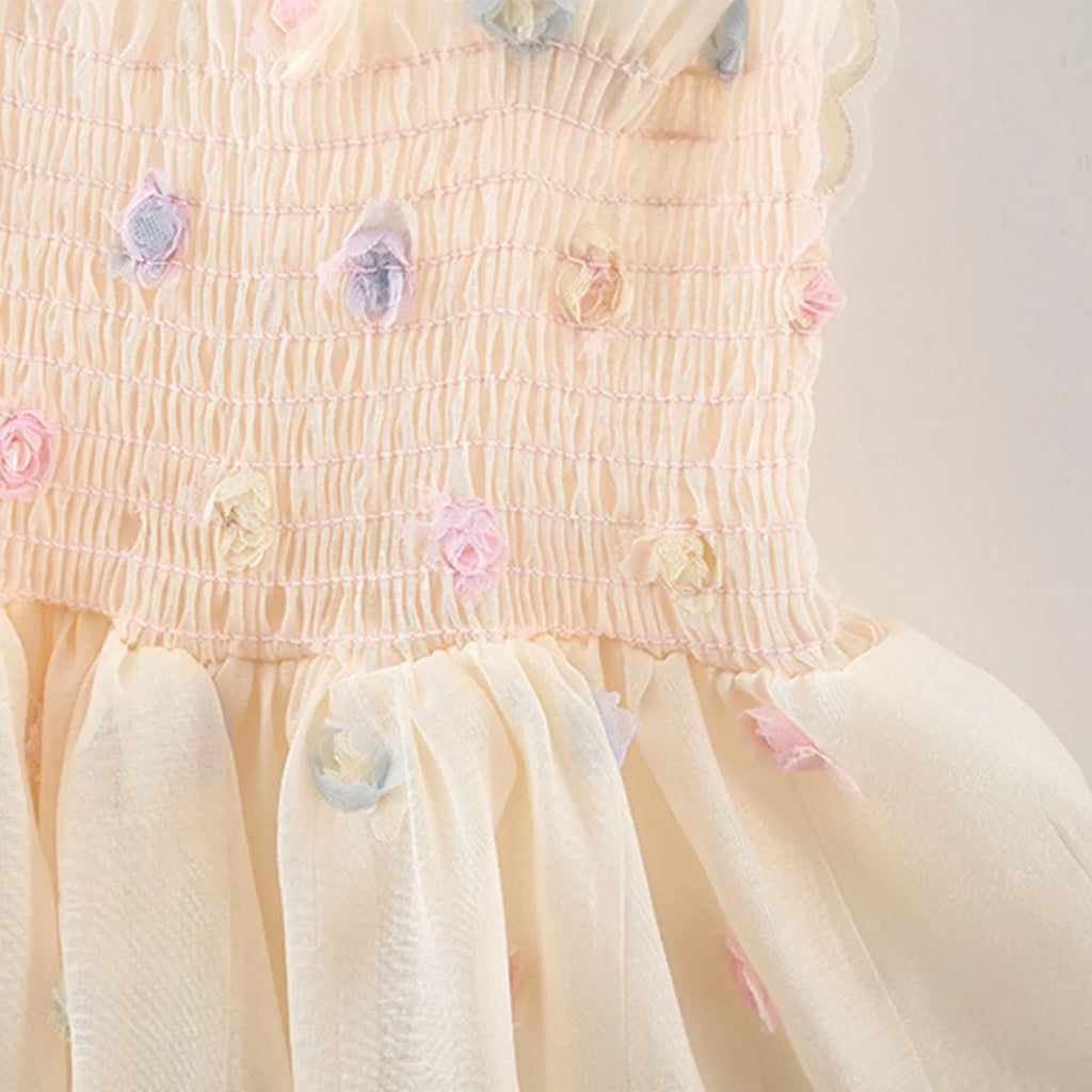 Baby Girl Fairy Wings Dress