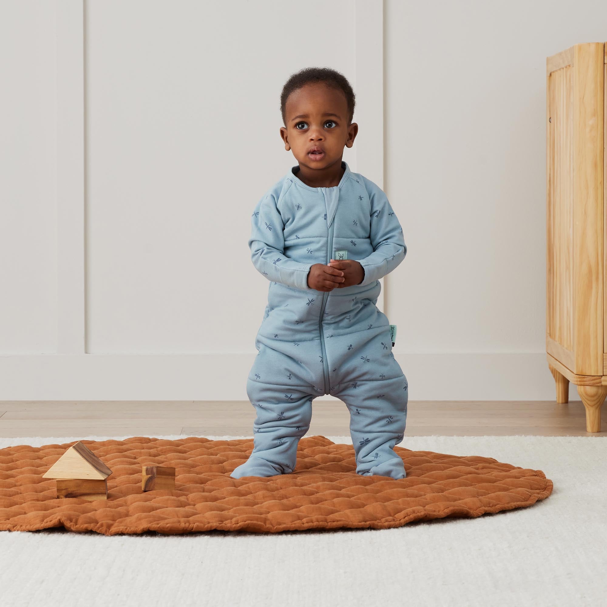ergoPouch - Organic Winter Long Sleeved Sleep Onesie - Dragonflies 2.5 TOG