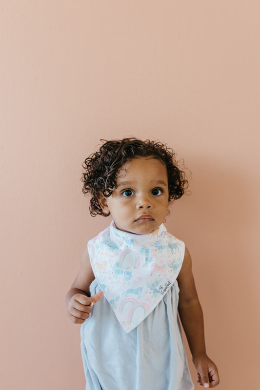 Copper Pearl Bibs Whimsy 4Pk